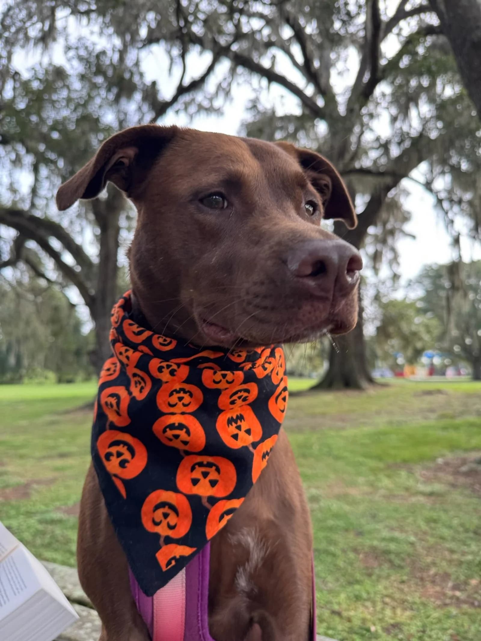 Emma and Penny testimonial photo