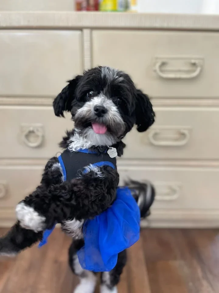 Lila and Bunny testimonial photo